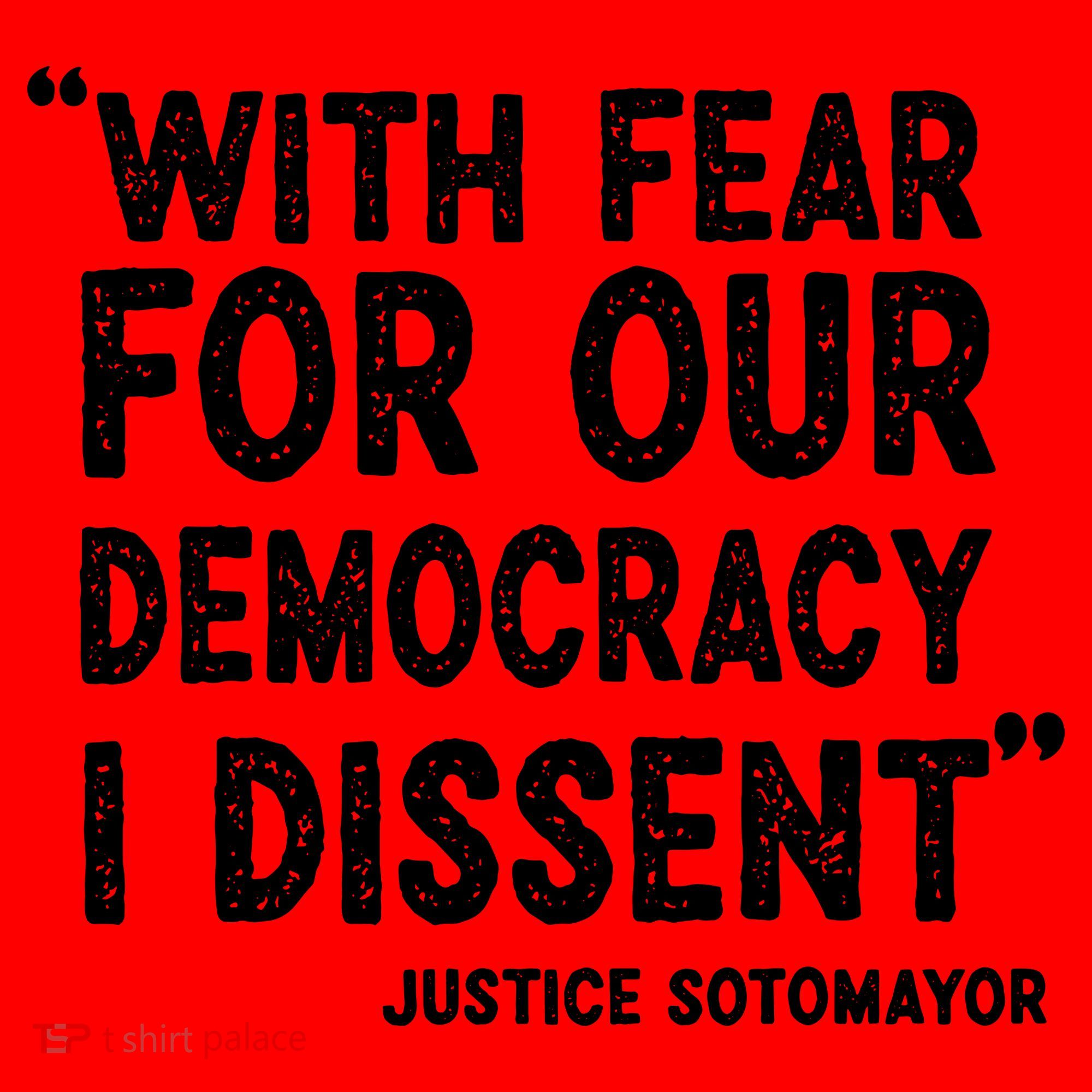 Justice Sotomayor Santa Hat