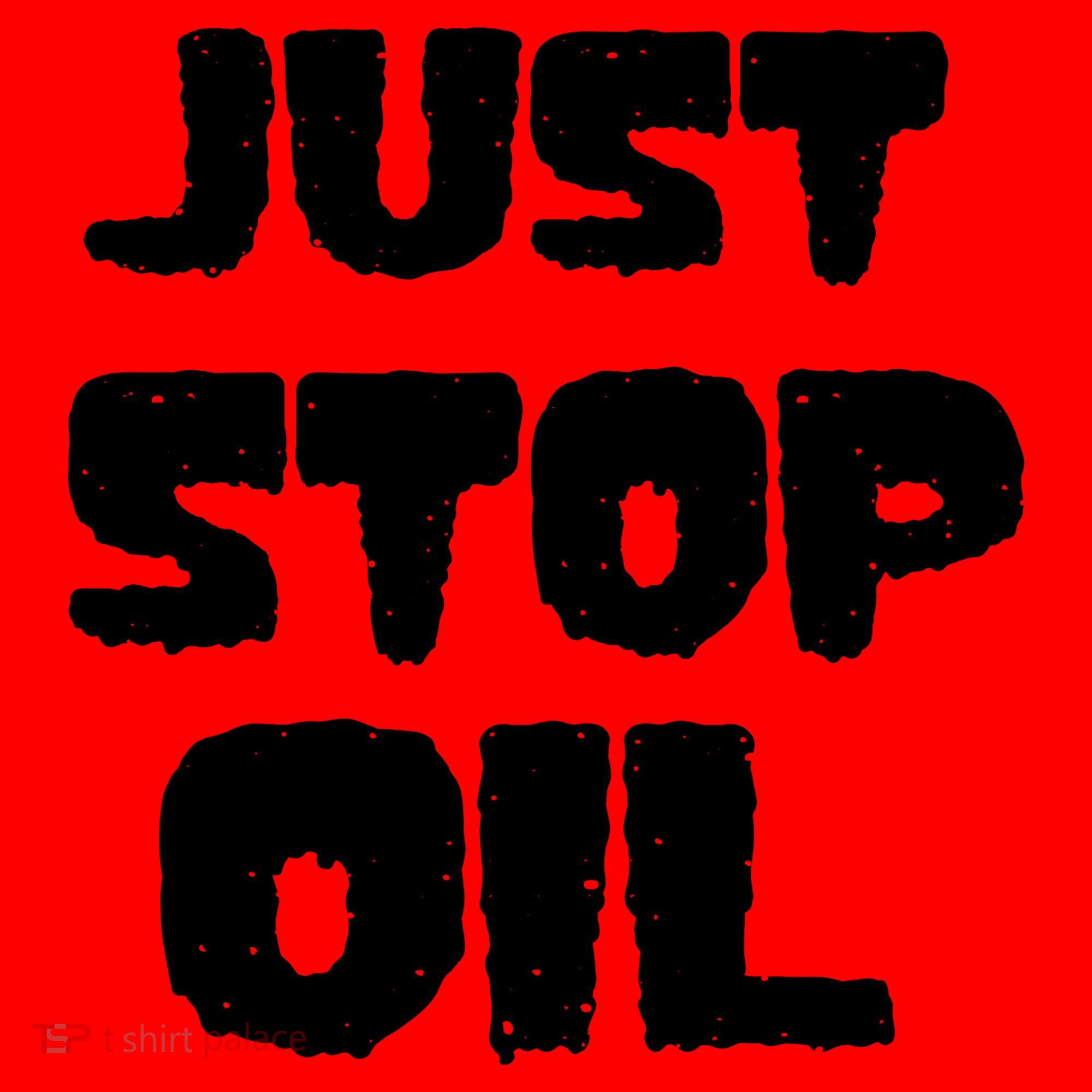 Just Stop Oil Santa Hat