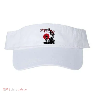 Visor