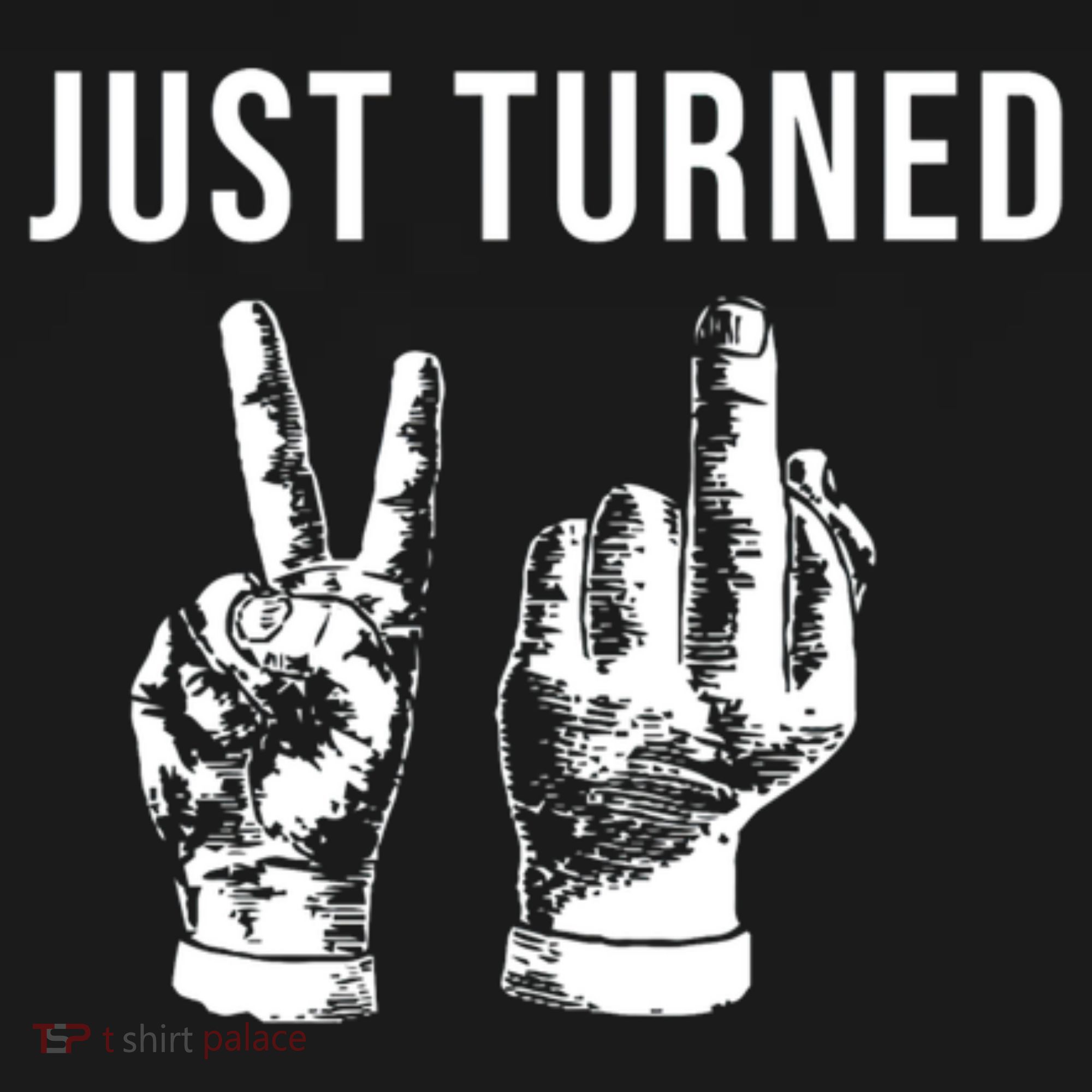 Just Turned 21 Birthday Gifts T-Shirt