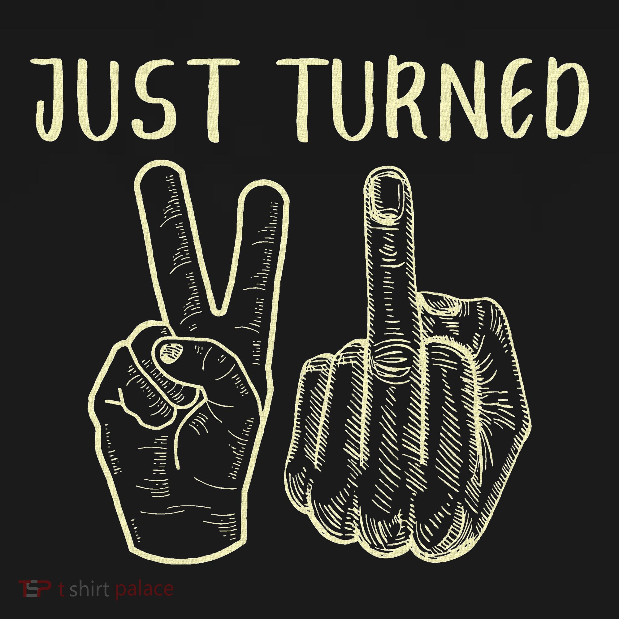 Just Turned 21 Years Old Funny 21st Birthday Party Women's Hoodie
