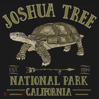 JOSHUA TREE NATIONAL PARK California Desert Turtle Tortoise Women's Hoodie thumb 2