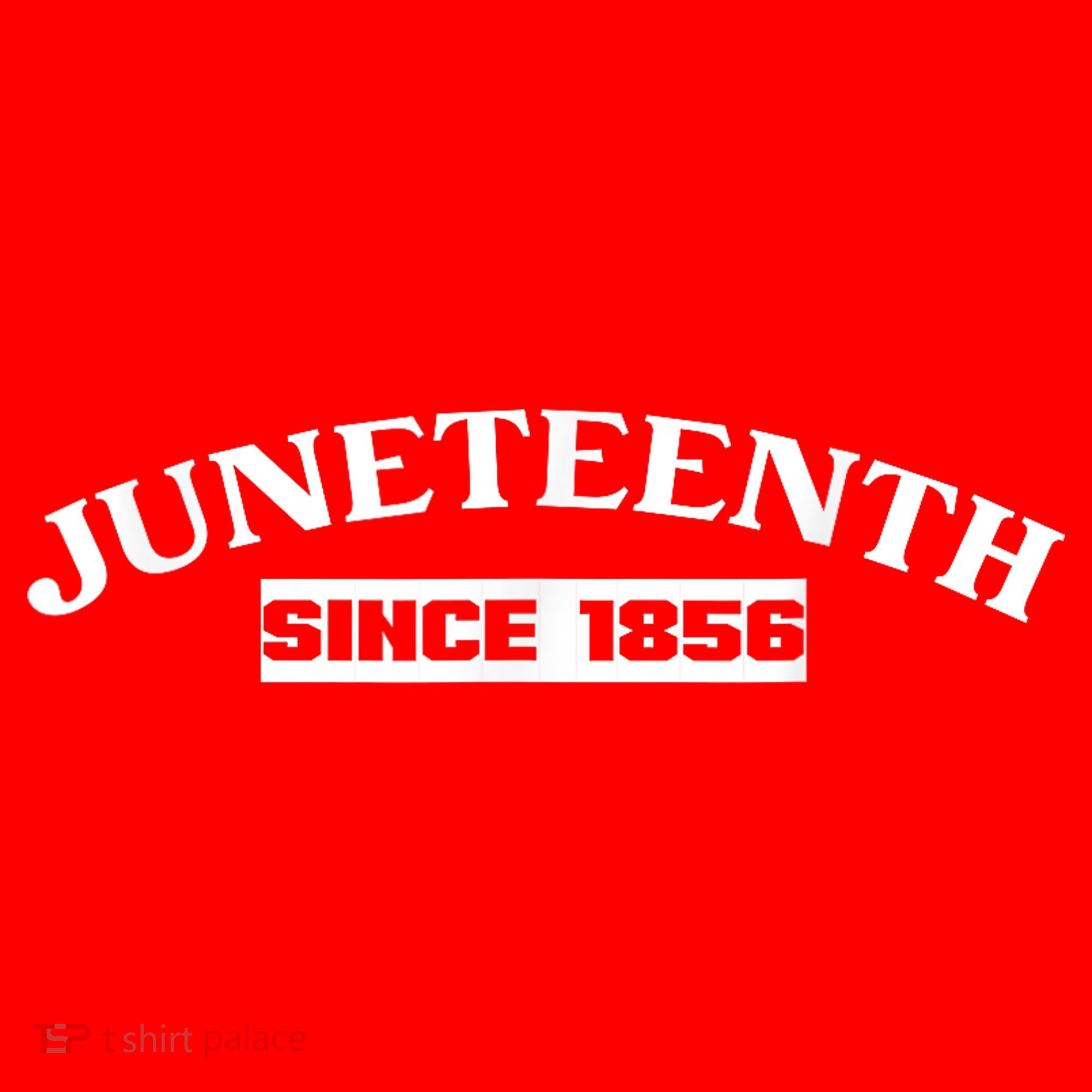 Juneteenth T Proud Black Freedom USA Independence Day Family Santa Hat