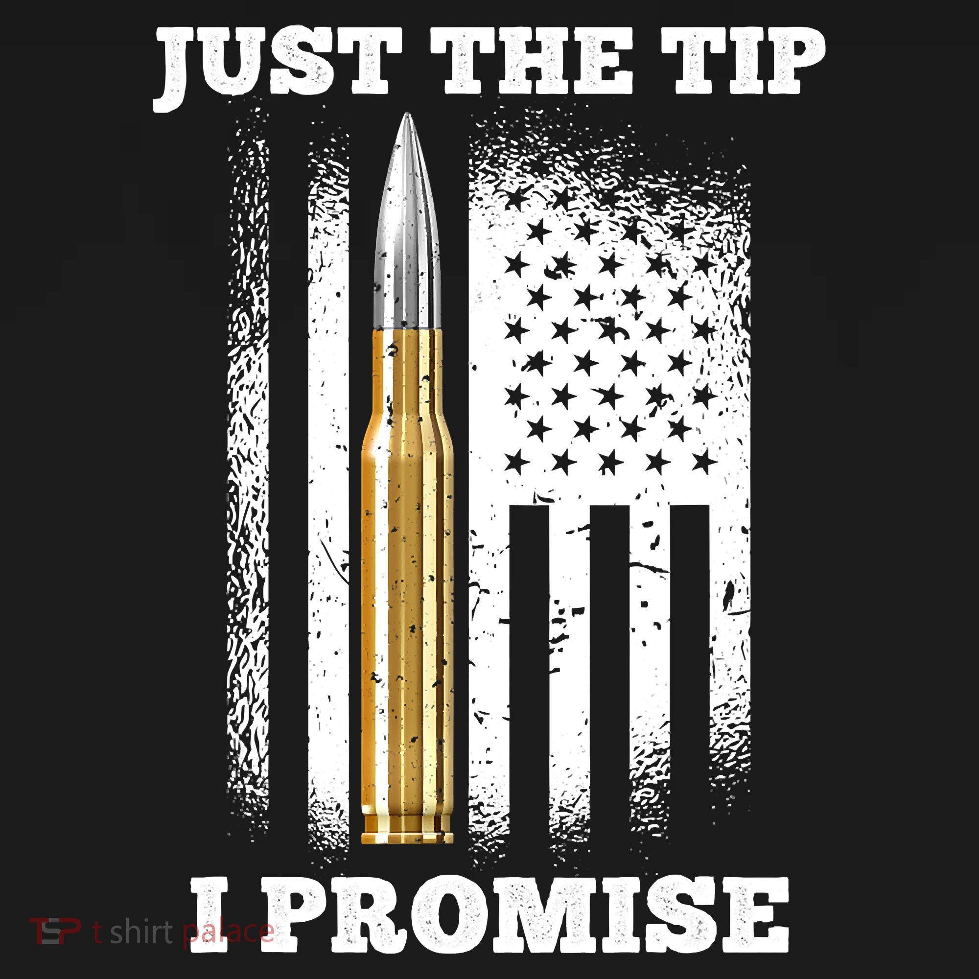 Just The Tip I Promise Gun Ammo Lovers Veteran US Flag Women's Tank Top