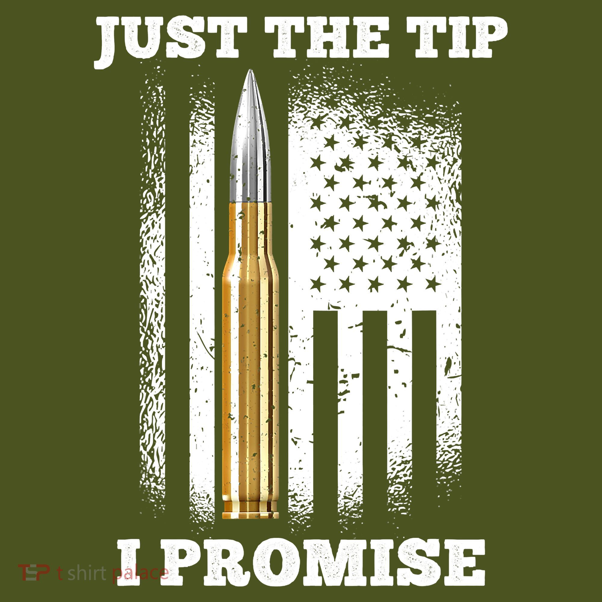 Just The Tip I Promise Gun Ammo Lovers Veteran US Flag Long Sleeve Shirt
