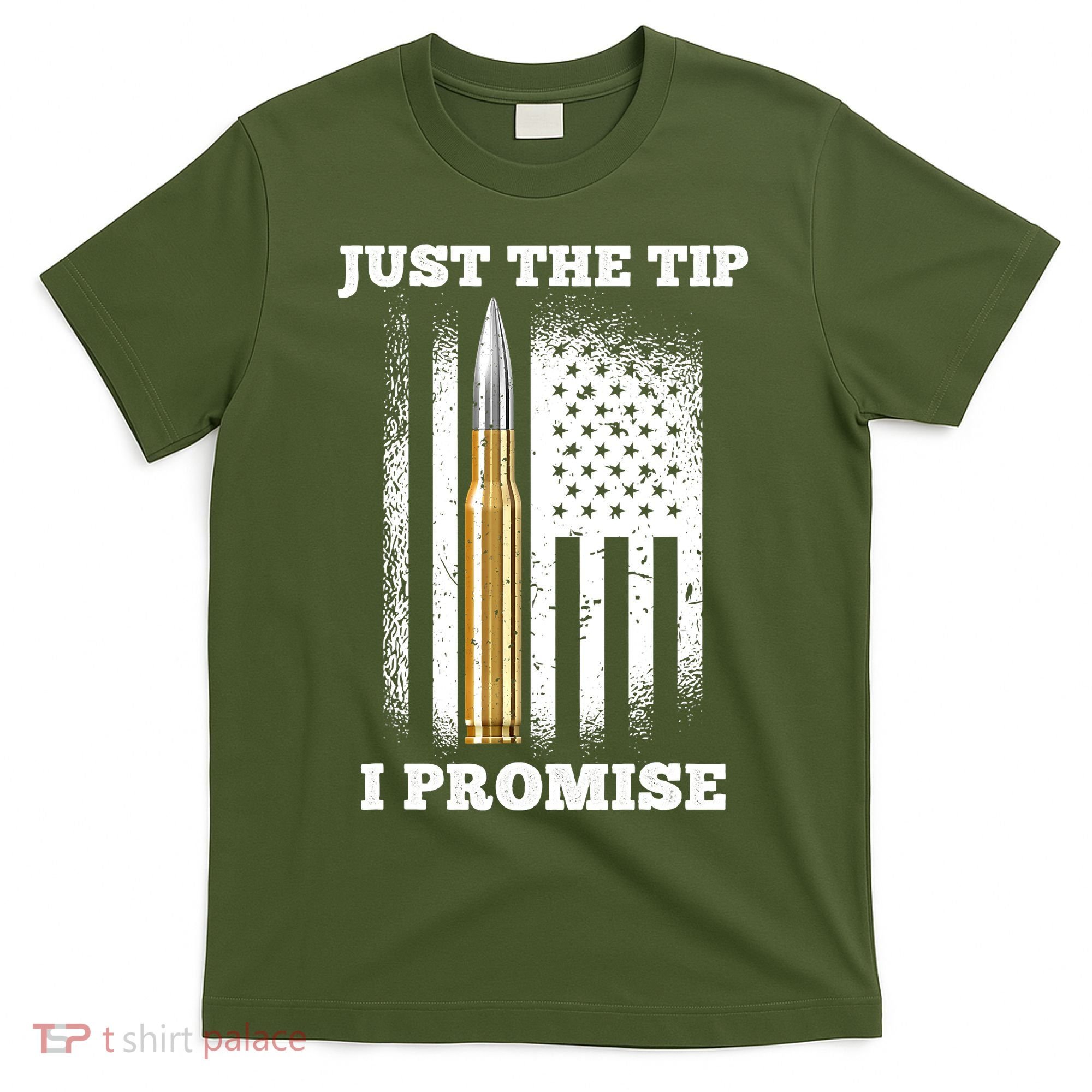 Just The Tip I Promise Gun Ammo Lovers Veteran US Flag T-Shirt