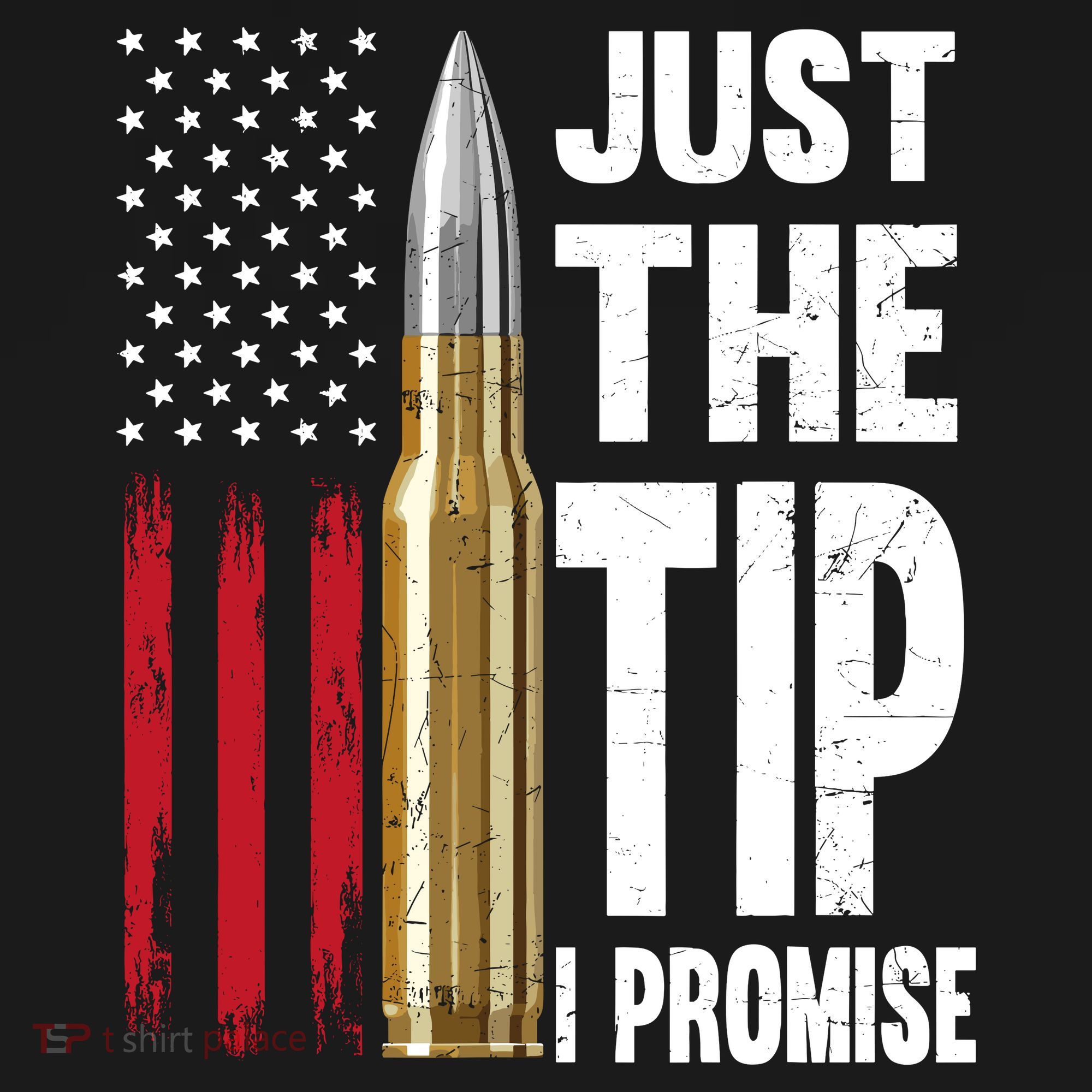 Just The Tip I Promise Bullet American Flag Gun Lovers Toddler Hoodie