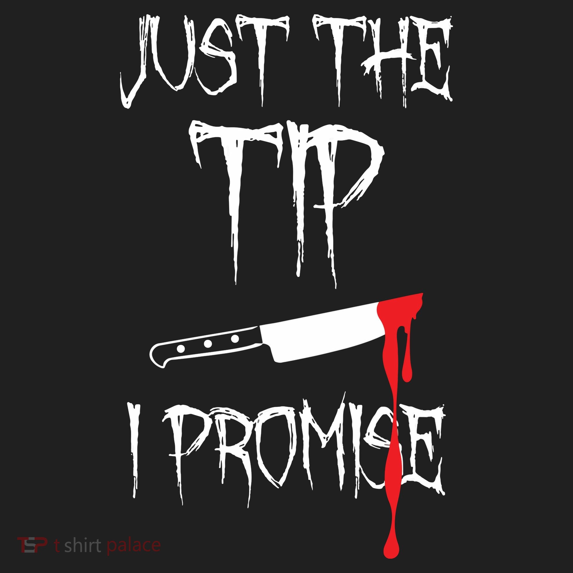 Just The Tip I Promise Tumbler