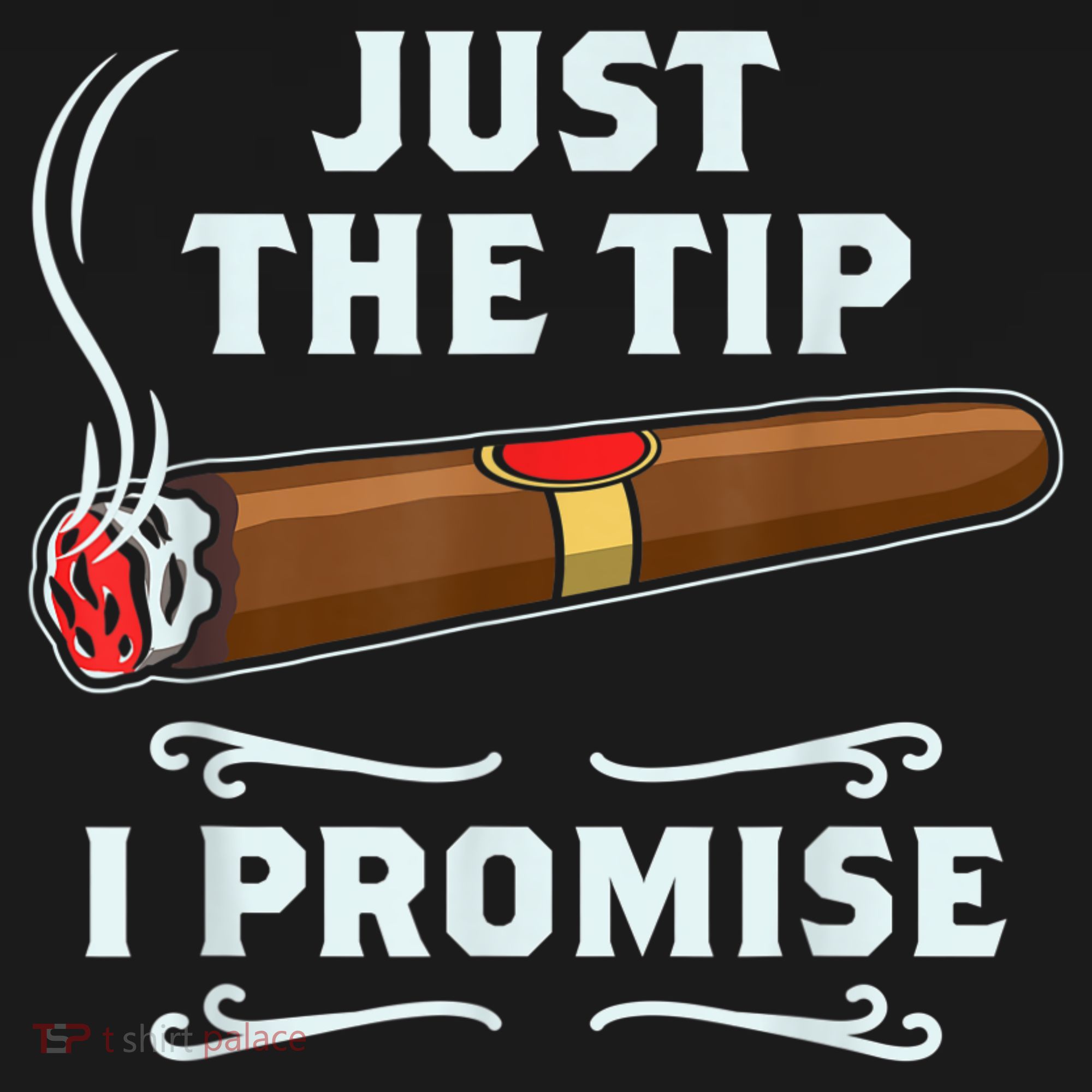 Just The Tip Cigar Smoker Funny Cigar Smoking Visor