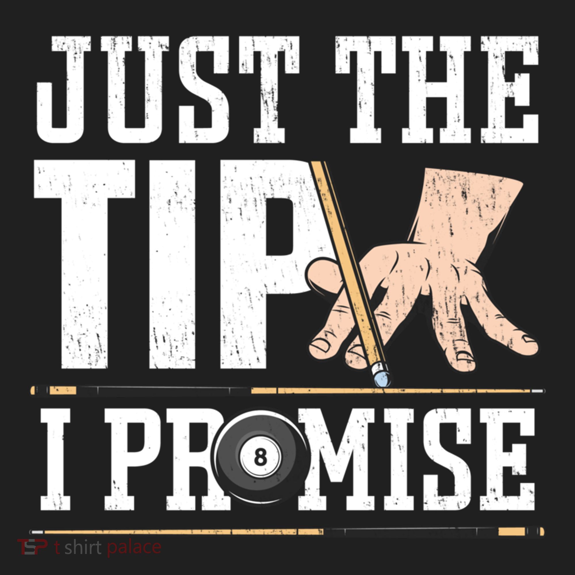 Just The Tip I Promise Billiard Pool Funny Billiard Gift Beanie