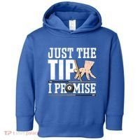 Just The Tip I Promise Billiard Pool Funny Billiard Gift Toddler Hoodie thumb 0