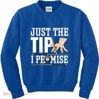 Just The Tip I Promise Billiard Pool Funny Billiard Gift Kids Sweatshirt thumb 0