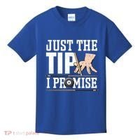 Just The Tip I Promise Billiard Pool Funny Billiard Gift Kids T-Shirt thumb 0