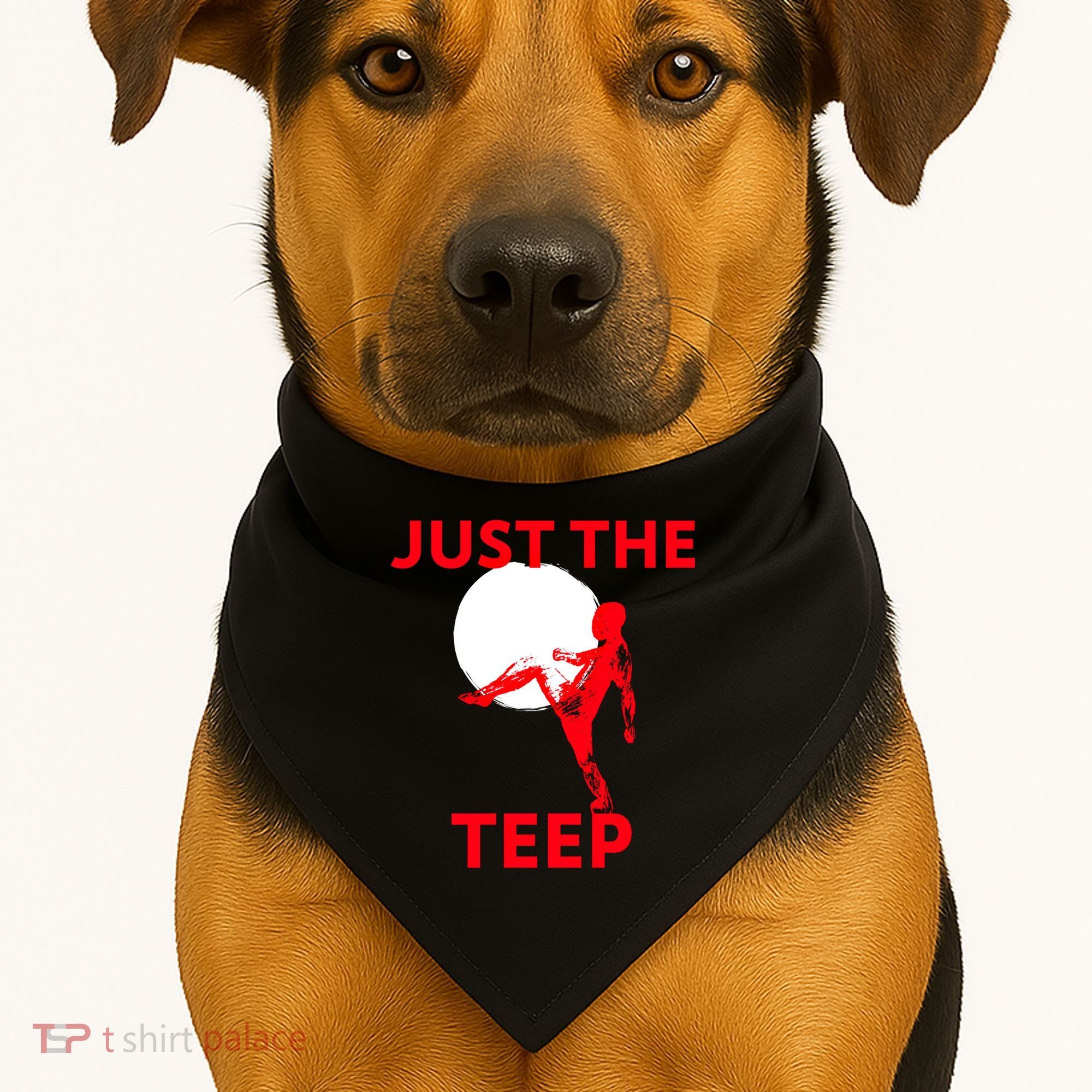 Just The Teep Muay Thai Kick Pun Mma Jiujitsu Boxing Cool Gift USA-Made Doggie Bandana
