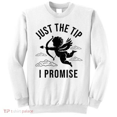 Just The Tip I Promise Funny Cupid Sweatshirt