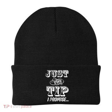 Just The Tip I Promise The Original Tattoo Artist Beanie