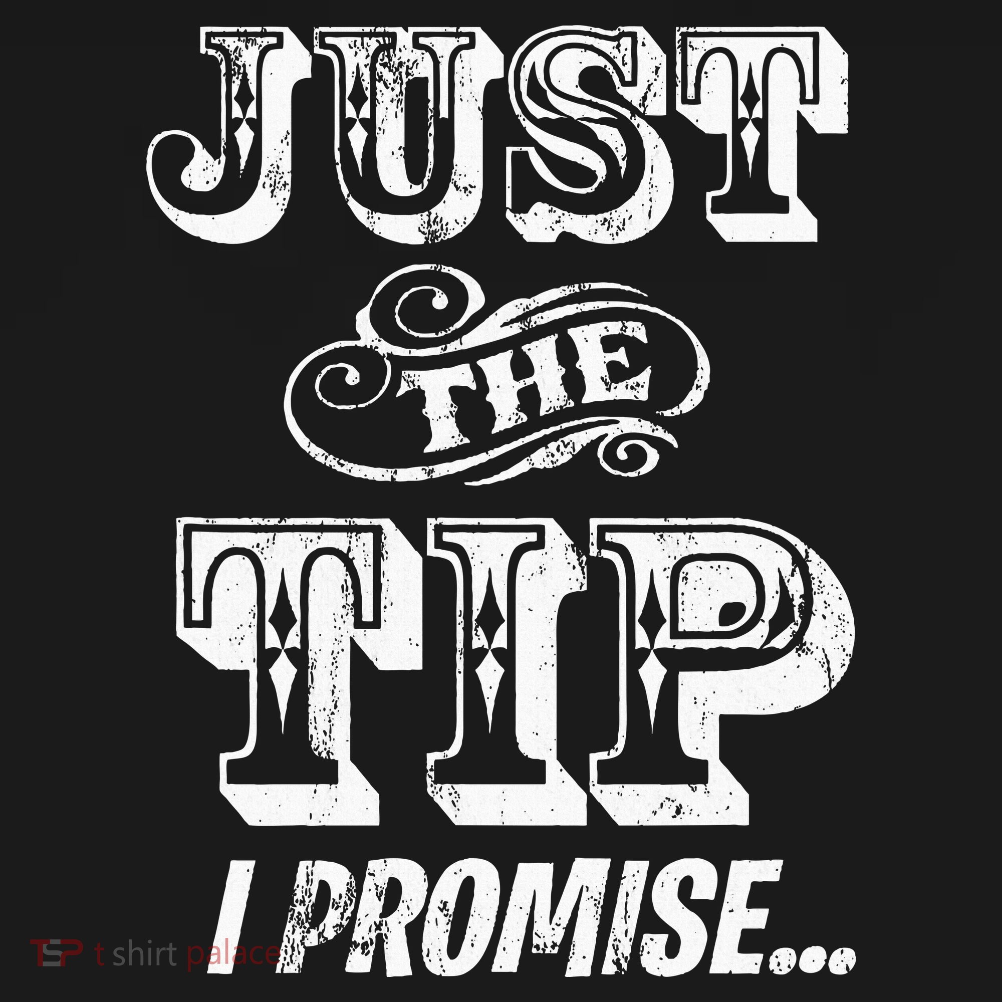 Just The Tip I Promise The Original Tattoo Artist Women's Tank Top
