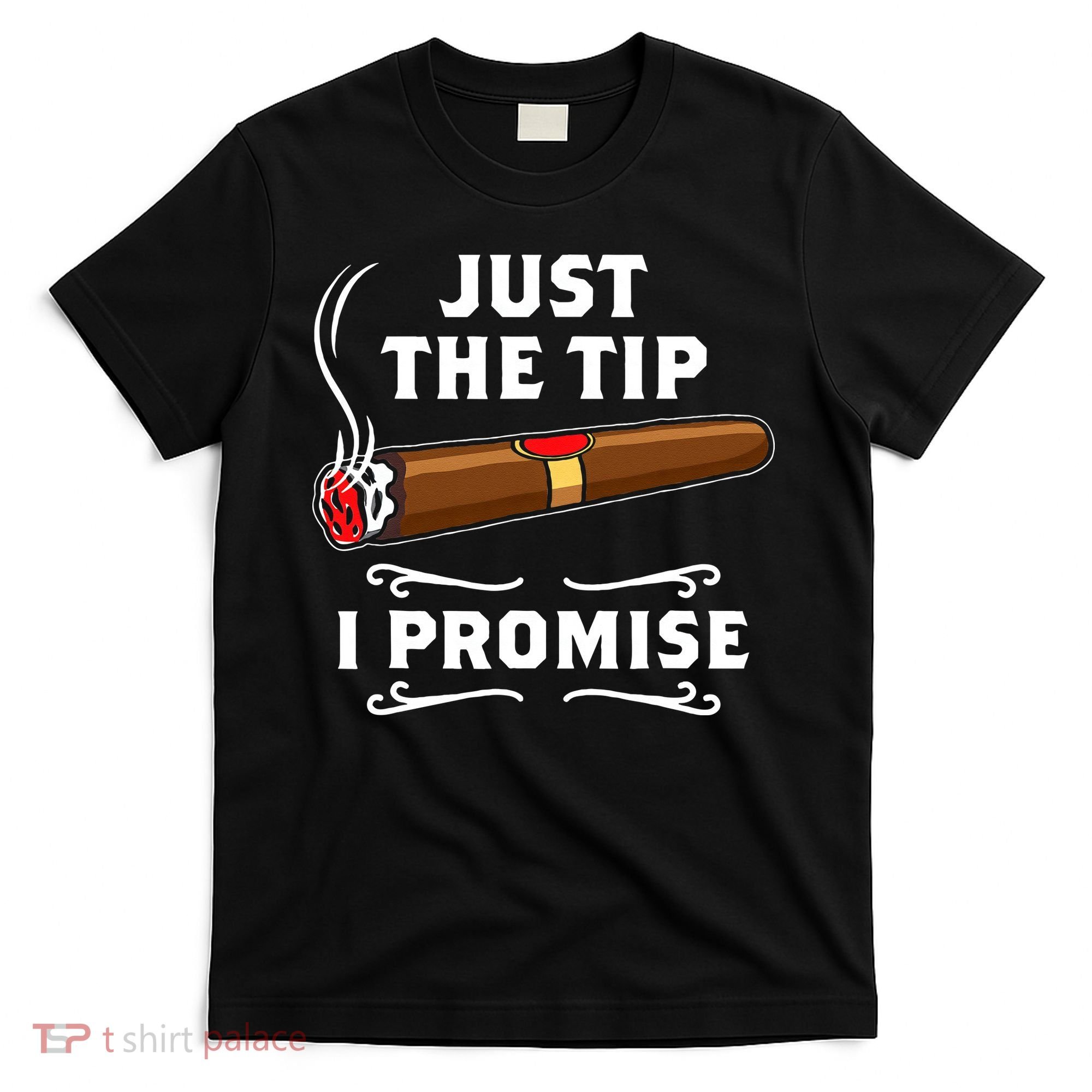 Just The Tip I Promise Cigar Smoker Men Joke Apparel T-Shirt