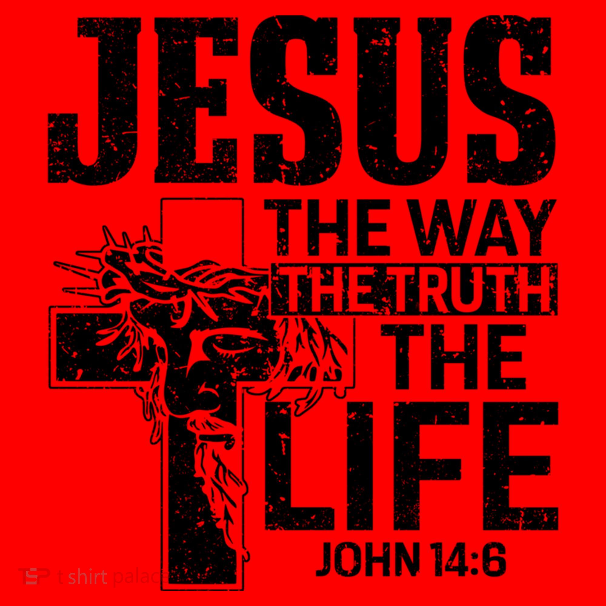 Jesus The Way The Truth The Life Great Gift Santa Hat