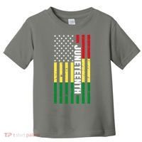 Juneteenth USA Black History Month Flag Toddler T-Shirt thumb 0