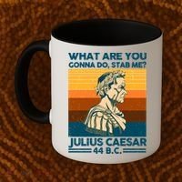Julius Caesar What Are You Gonna Do Stab Me? Coffee Mug thumb 2