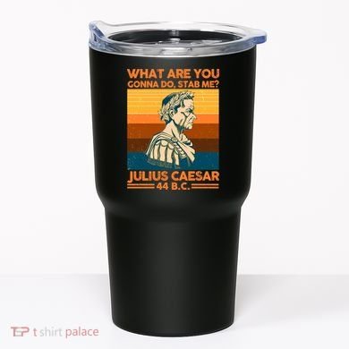 Julius Caesar What Are You Gonna Do Stab Me? Tumbler
