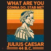 Julius Caesar What Are You Gonna Do Stab Me? Tumbler thumb 3