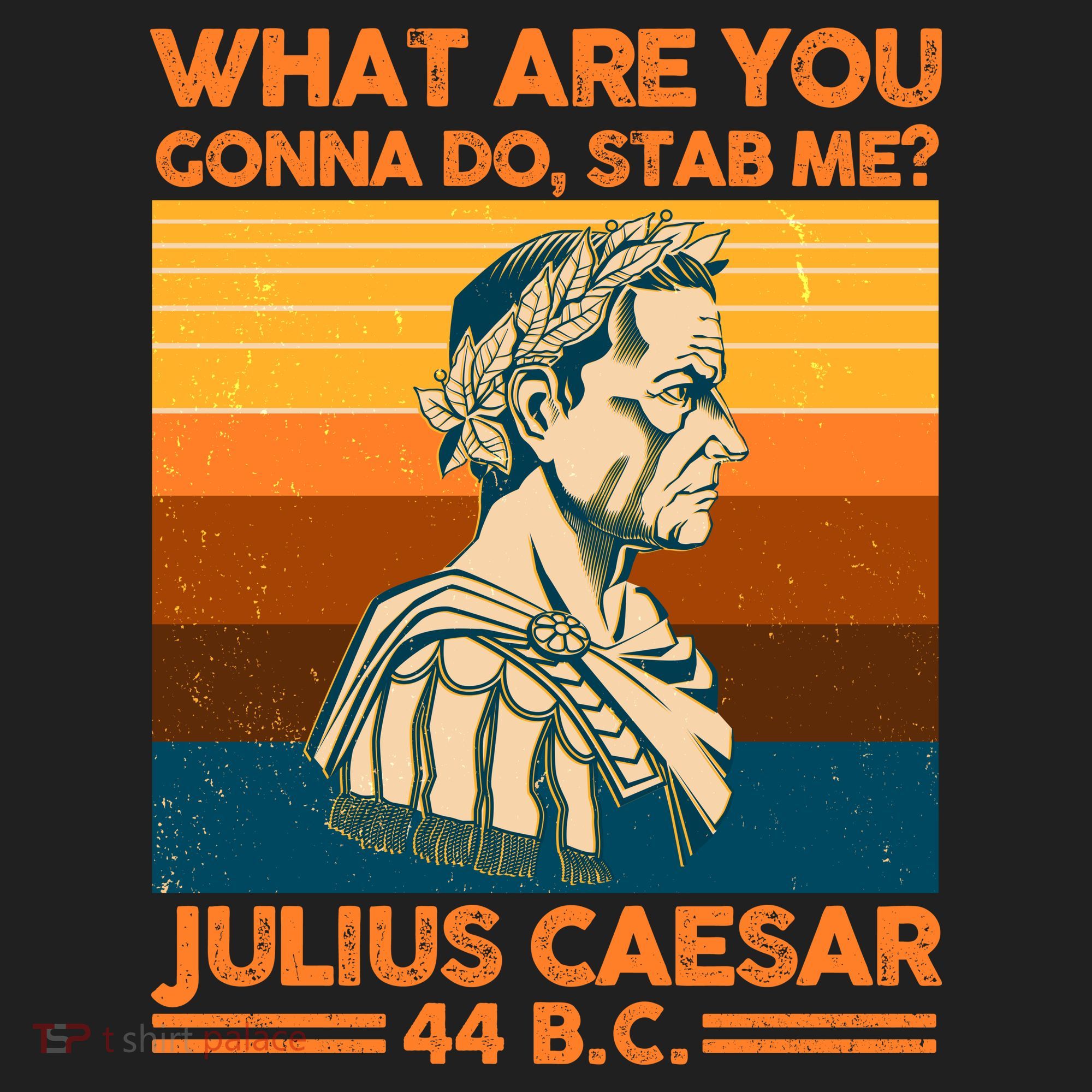 Julius Caesar What Are You Gonna Do Stab Me? Tumbler