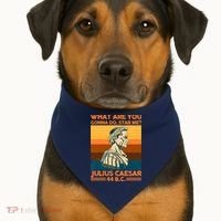 Julius Caesar What Are You Gonna Do Stab Me? USA-Made Doggie Bandana thumb 1
