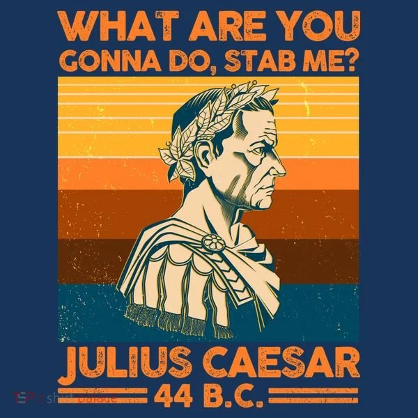Julius Caesar What Are You Gonna Do Stab Me? Hoodie