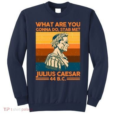 Julius Caesar What Are You Gonna Do Stab Me? Sweatshirt