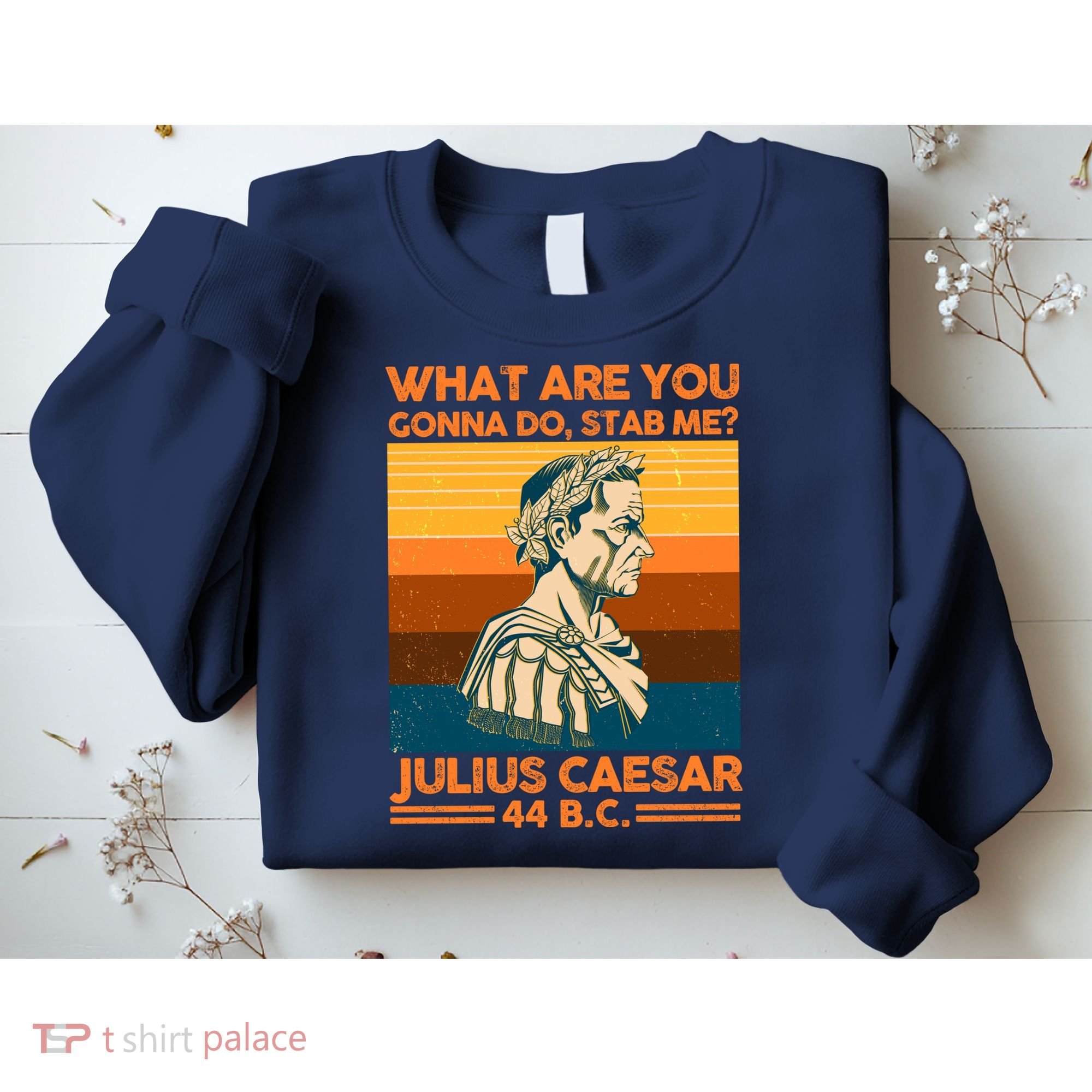 Julius Caesar What Are You Gonna Do Stab Me? Sweatshirt