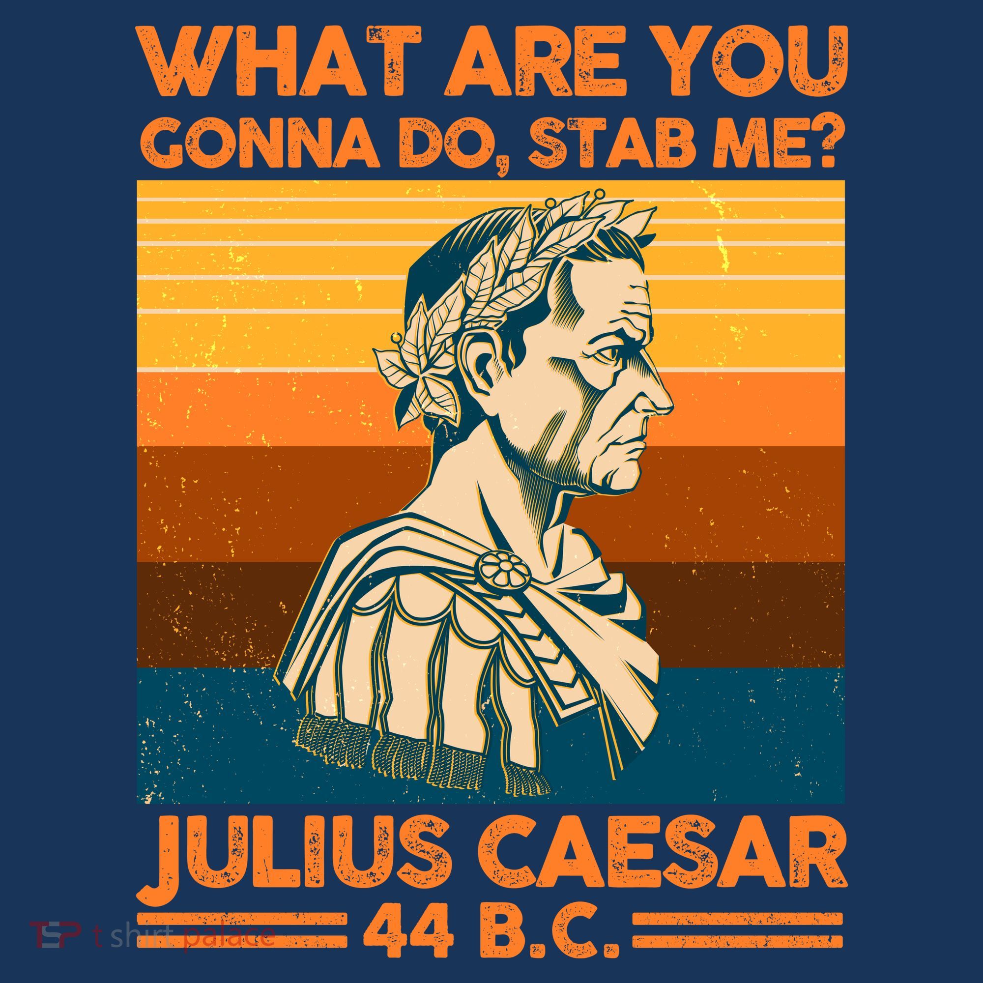 Julius Caesar What Are You Gonna Do Stab Me? Women's Hoodie
