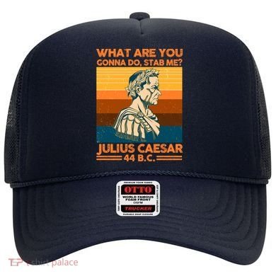 Julius Caesar What Are You Gonna Do Stab Me? Hat