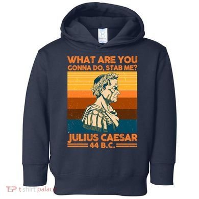 Julius Caesar What Are You Gonna Do Stab Me? Toddler Hoodie