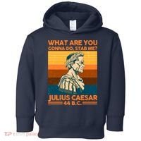 Julius Caesar What Are You Gonna Do Stab Me? Toddler Hoodie thumb 0