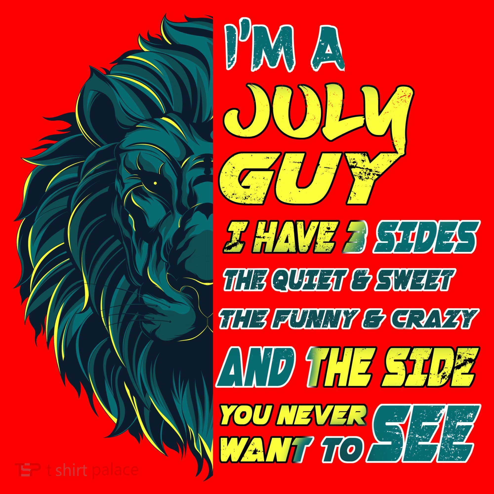July Birthday Guy Has 3 Sides Sweet Funny Crazy  Santa Hat