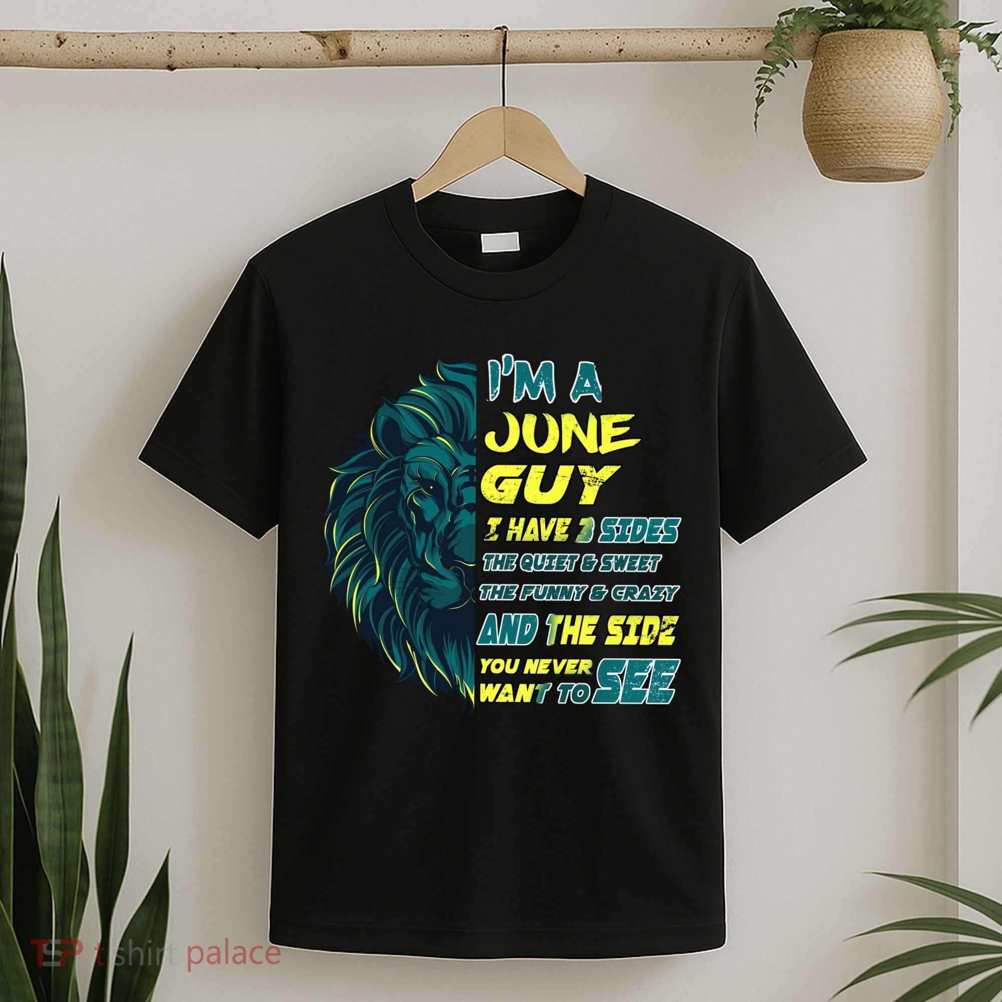 June Birthday Guy Has 3 Sides Sweet Funny Crazy  T-Shirt