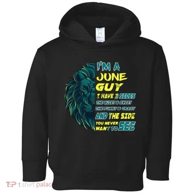 Toddler Hoodie