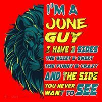 June Birthday Guy Has 3 Sides Sweet Funny Crazy  Santa Hat thumb 1