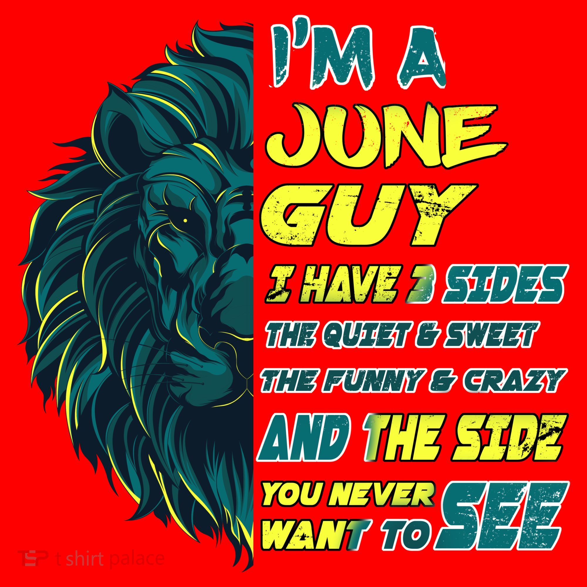 June Birthday Guy Has 3 Sides Sweet Funny Crazy  Santa Hat