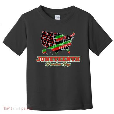 Juneteenth Freedom Day USA Toddler T-Shirt