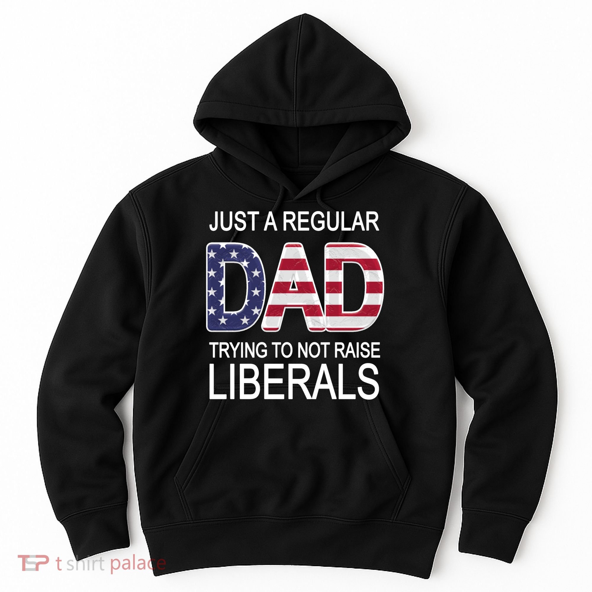 Just a Regular Dad Trying Not To Raise Liberals Hoodie