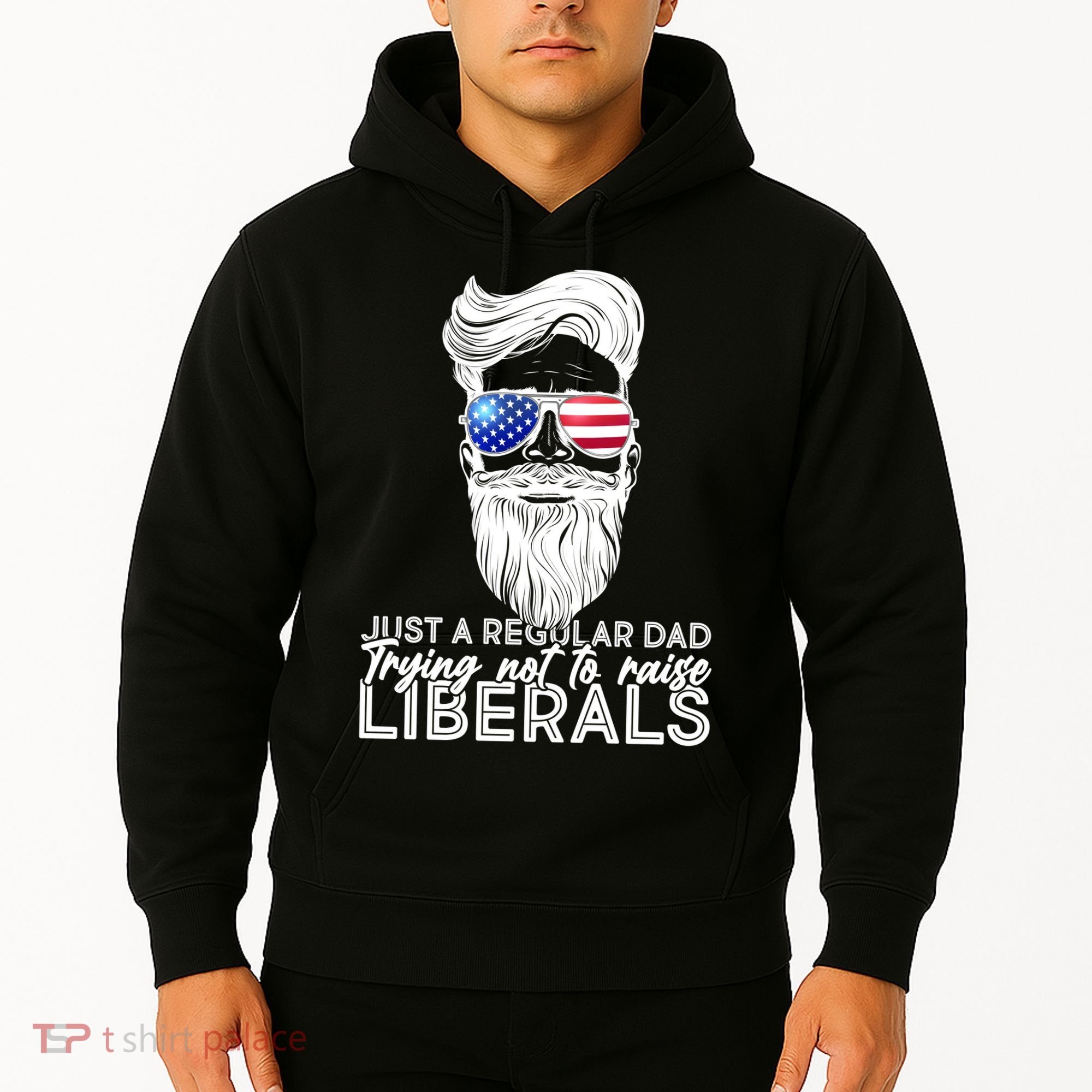 Just A Regular Dad Trying Not To Raise Liberals Hipster Dad Hoodie
