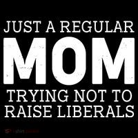 Just A Regular Mom Trying Not To Raise Liberals Women's Hoodie thumb 2