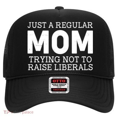 Just A Regular Mom Trying Not To Raise Liberals Hat