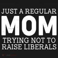 Just A Regular Mom Trying Not To Raise Liberals Toddler Hoodie thumb 2