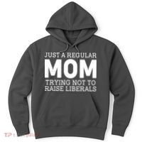 Just A Regular Mom Trying Not To Raise Liberals Hoodie thumb 0
