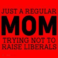 Just A Regular Mom Trying Not To Raise Liberals Santa Hat thumb 1