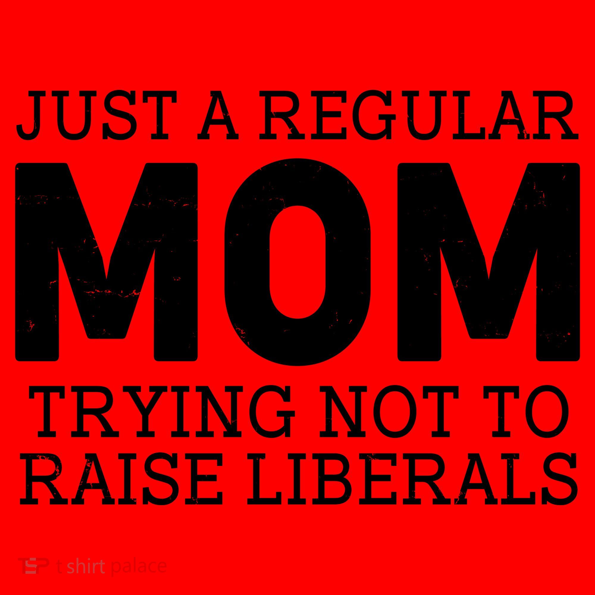 Just A Regular Mom Trying Not To Raise Liberals Santa Hat